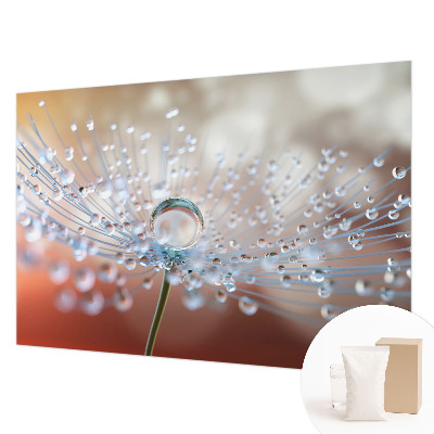 Dekoratyvinis fototapetas En dråbe on en mælkebøtt