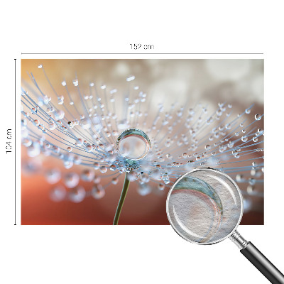 Dekoratyvinis fototapetas En dråbe on en mælkebøtt