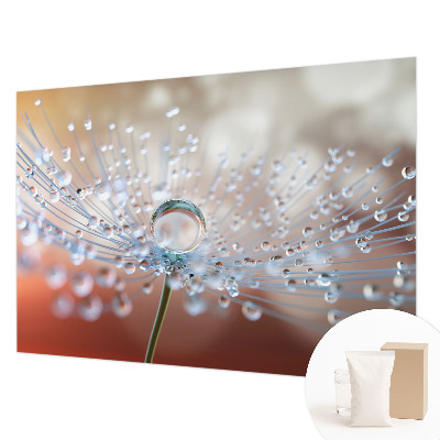 Dekoratyvinis fototapetas En dråbe on en mælkebøtt