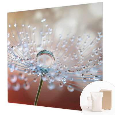 Dekoratyvinis fototapetas En dråbe on en mælkebøtt