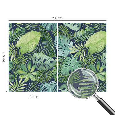 Fototapetas ant sienos Tropikų blyškumas