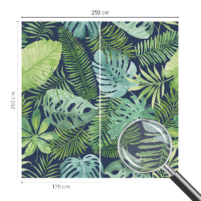 Fototapetas ant sienos Tropikų blyškumas