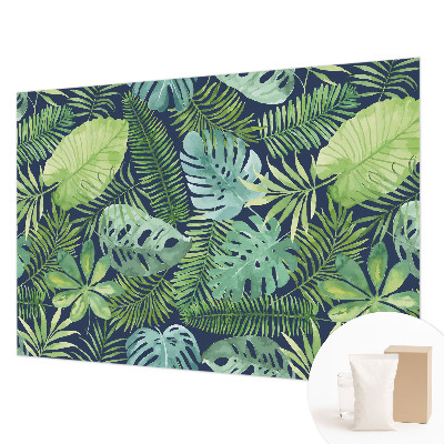 Fototapetas ant sienos Tropikų blyškumas