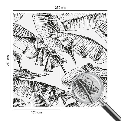 Fototapetas pagal užsakymą Bananblade