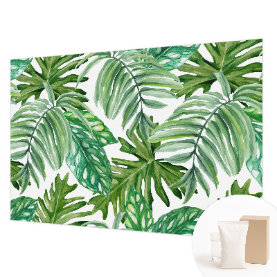 Fototapetas miegamajam Egzotiškas peilis