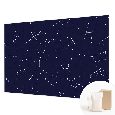 Stilingas fototapetas su astrodangumi