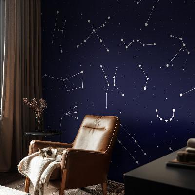 Stilingas fototapetas su astrodangumi