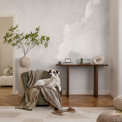 Tapetas Diskretus dangus