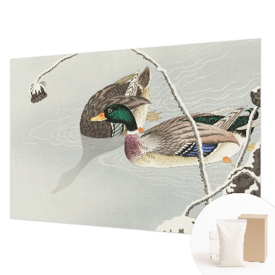 Sienų danga fototapetas Rolige ænder