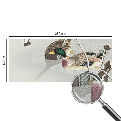 Sienų danga fototapetas Rolige ænder