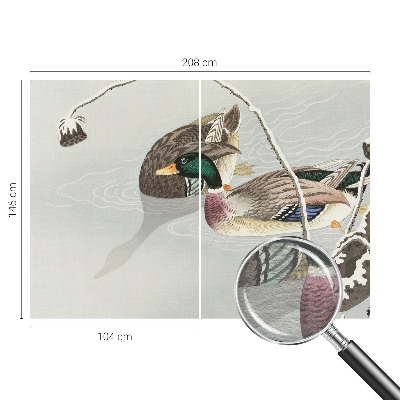 Sienų danga fototapetas Rolige ænder