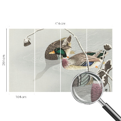 Sienų danga fototapetas Rolige ænder