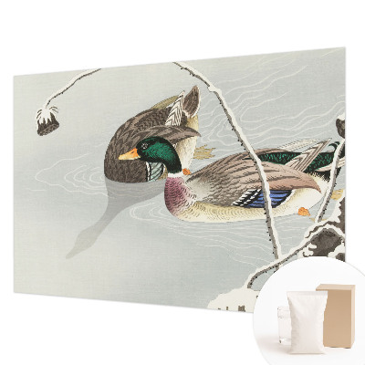 Sienų danga fototapetas Rolige ænder