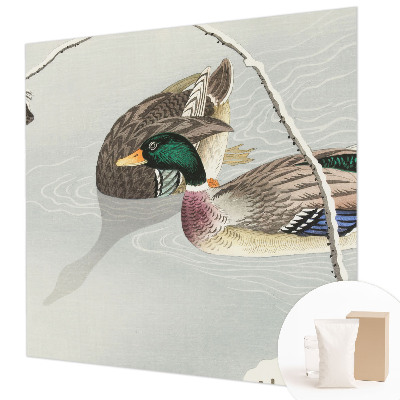 Sienų danga fototapetas Rolige ænder