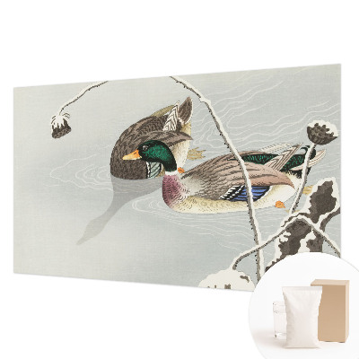 Sienų danga fototapetas Rolige ænder