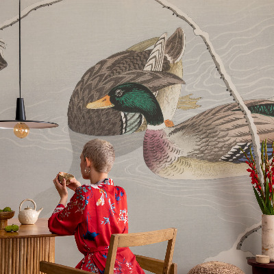 Sienų danga fototapetas Rolige ænder