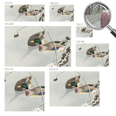 Sienų danga fototapetas Rolige ænder