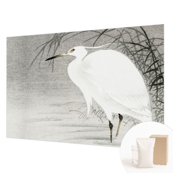 Fototapetas pagal užsakymą Vandlandskabas