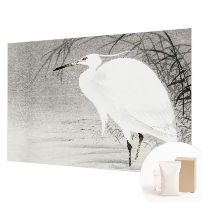 Fototapetas pagal užsakymą Vandlandskabas