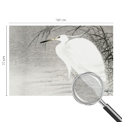 Fototapetas pagal užsakymą Vandlandskabas