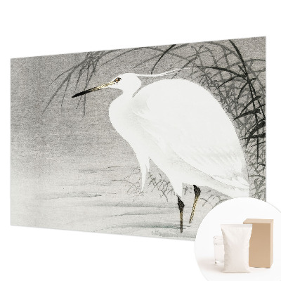 Fototapetas pagal užsakymą Vandlandskabas