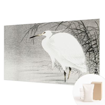 Fototapetas pagal užsakymą Vandlandskabas