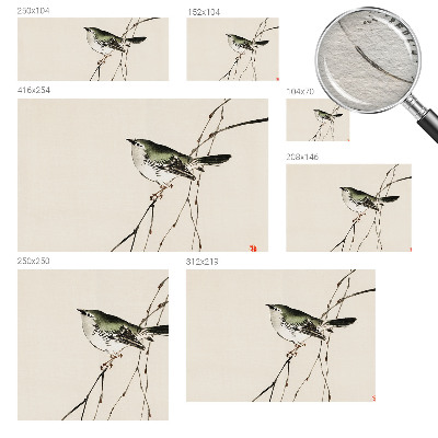 Plaunamas flizelininis fototapetas Harmonisk fugl