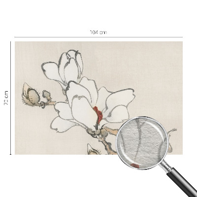 Aukštos kokybės fototapetas su subtiliu magnolijos motyvu