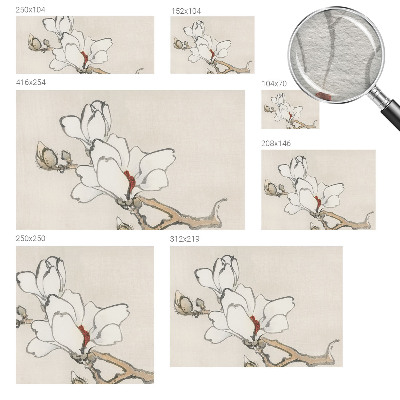 Aukštos kokybės fototapetas su subtiliu magnolijos motyvu