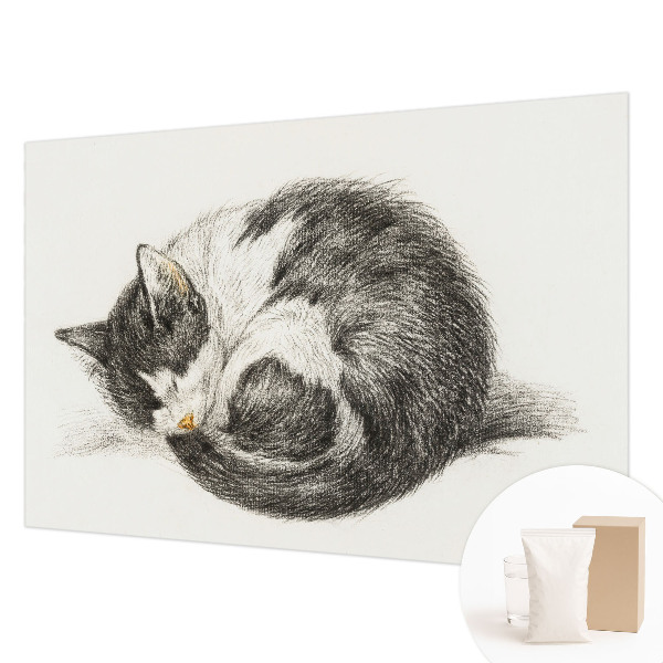 Stilingas fototapetas Yndigo žudymas