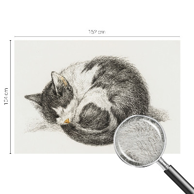 Stilingas fototapetas Yndigo žudymas