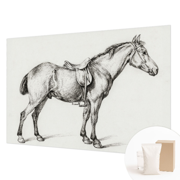 Sienų danga fototapetas Skitse af en hest