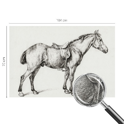 Sienų danga fototapetas Skitse af en hest