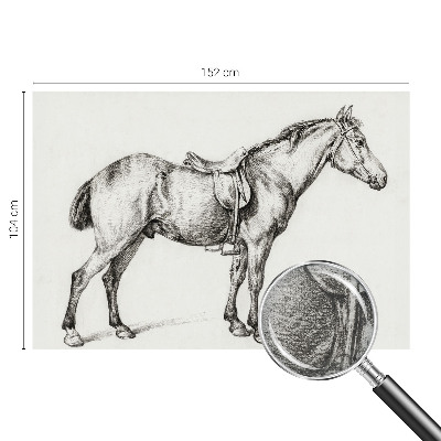 Sienų danga fototapetas Skitse af en hest