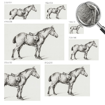 Sienų danga fototapetas Skitse af en hest