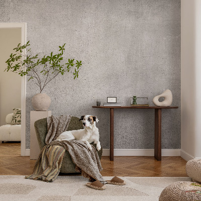 Stilingas fototapetas Betonmønster