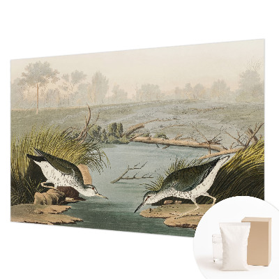 Fototapetas Ir laisvas kraštovaizdis