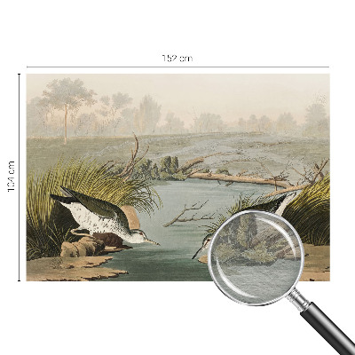 Fototapetas Ir laisvas kraštovaizdis