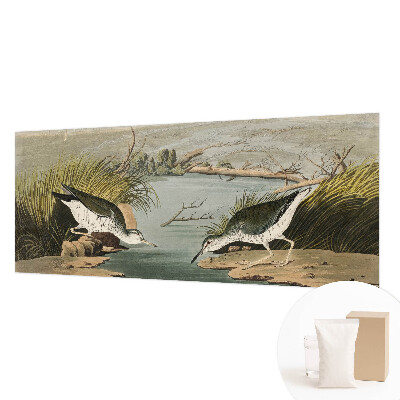 Fototapetas Ir laisvas kraštovaizdis