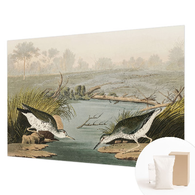 Fototapetas Ir laisvas kraštovaizdis