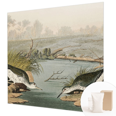 Fototapetas Ir laisvas kraštovaizdis