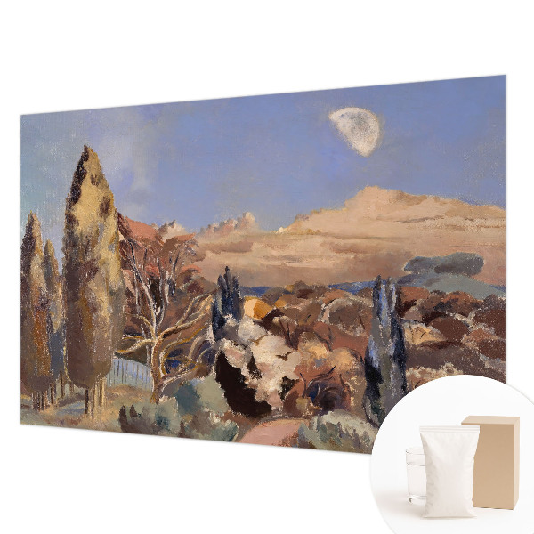 Fototapetas pagal matmenis Skovlandskabas