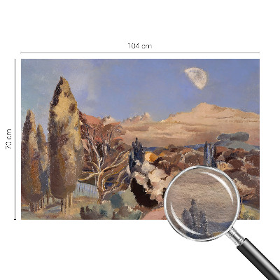 Fototapetas pagal matmenis Skovlandskabas