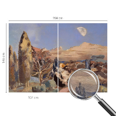 Fototapetas pagal matmenis Skovlandskabas