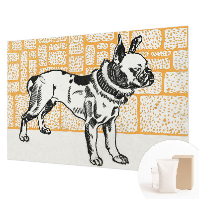 Modernus fototapetas Retro šuo