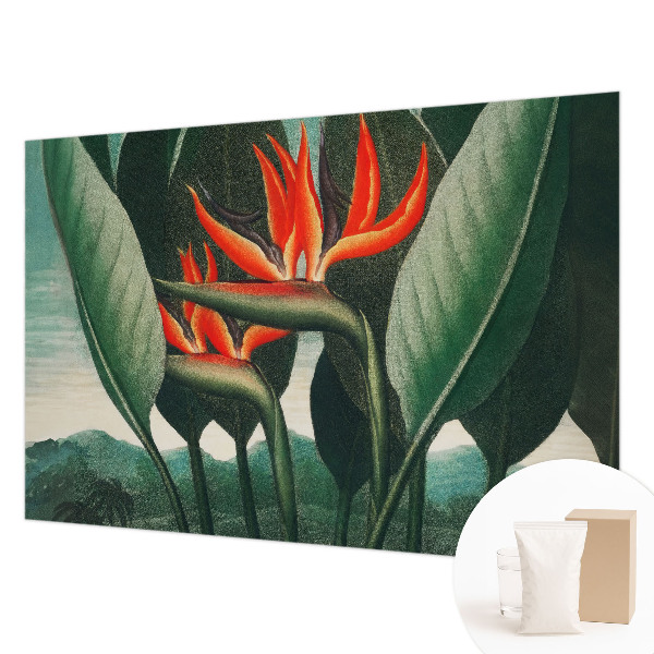 Flizelininis fototapetas Egzotinis žiedas