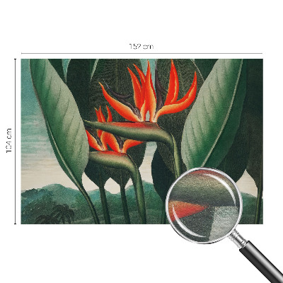 Flizelininis fototapetas Egzotinis žiedas