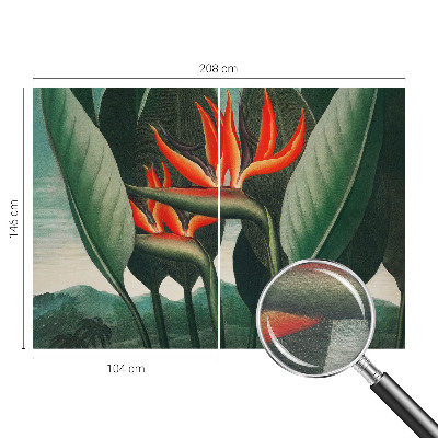 Flizelininis fototapetas Egzotinis žiedas