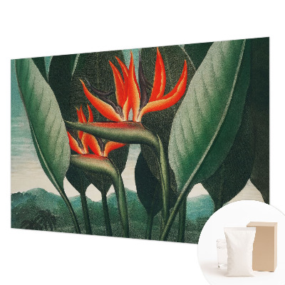 Flizelininis fototapetas Egzotinis žiedas