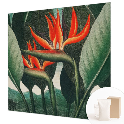 Flizelininis fototapetas Egzotinis žiedas